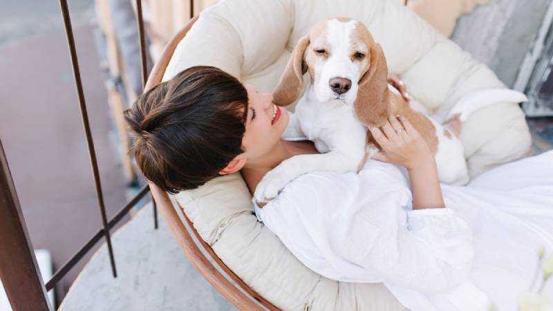 Hotel Pet Friendly em Ji-Paraná - RO